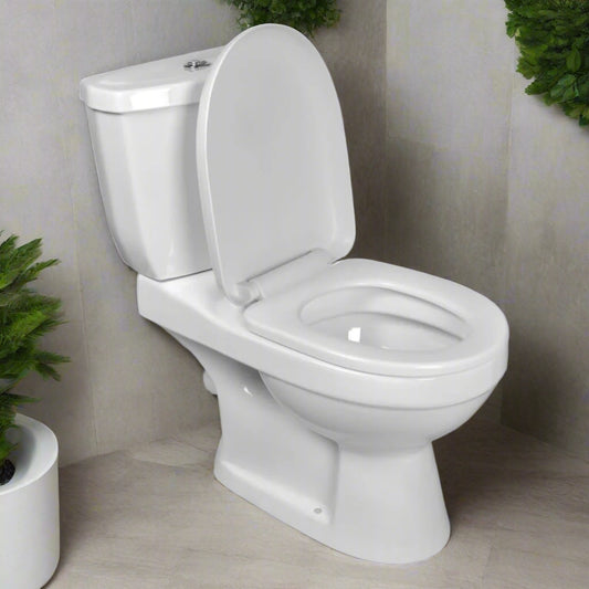 Toilet With Cistern White