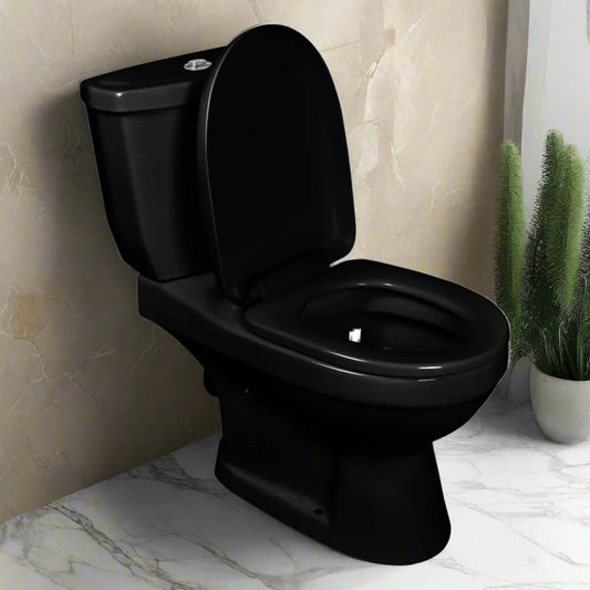 Toilet With Cistern Black