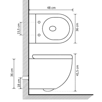 Wall Hung Rimless Toilet with Bidet Function Ceramic White