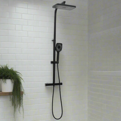 Black Brass Dual Shower System with Mixer and Hose